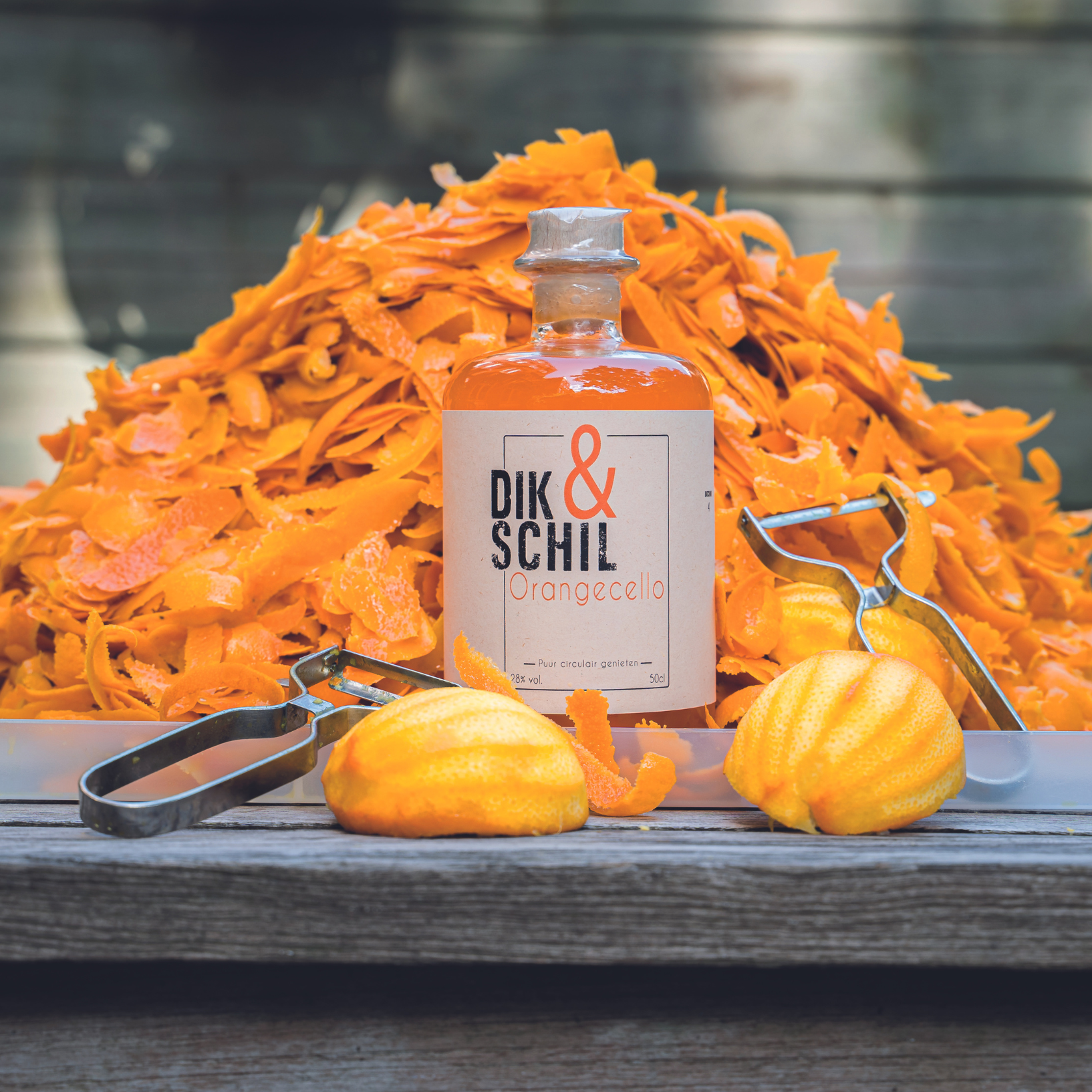 DIK&SCHIL